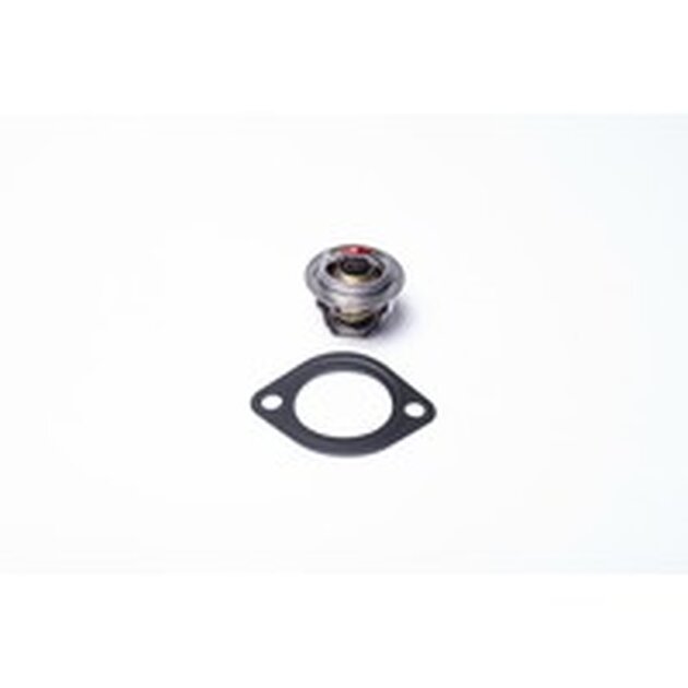 THERMOSTAT CT4-134TV