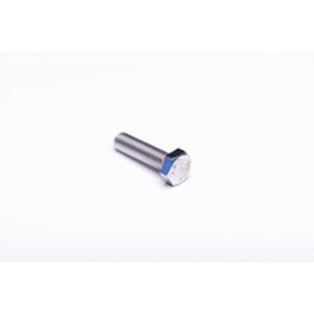 SCREW H M08-30 INOX