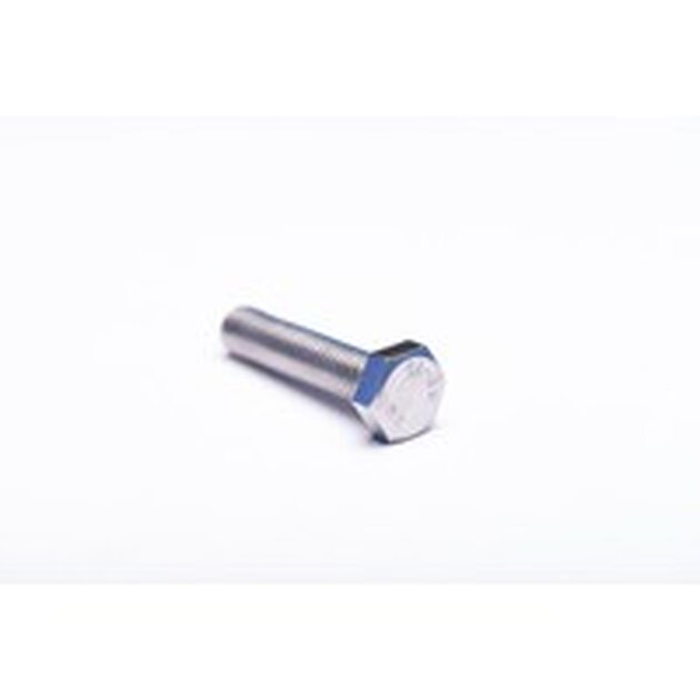 TH SCREW SS 08X35