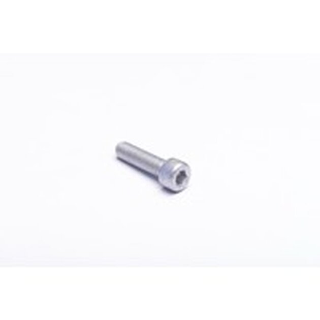 CHC SCREW 08-30 DACROMET
