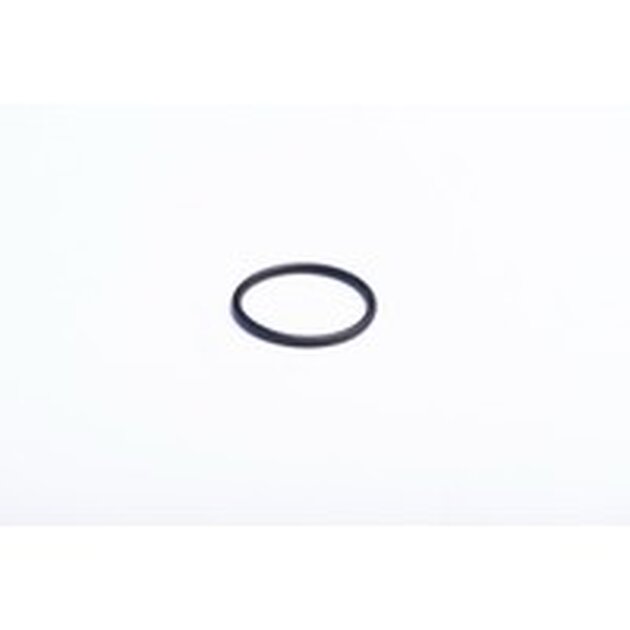 O RING (21.95X1.78)
