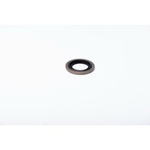 RING BS M17