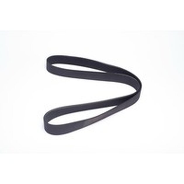 BELT POLY V 10PK 1460