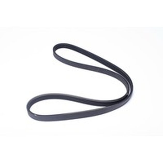 ALTERNATOR BELT VECTOR 1350