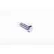 SCREW H M08-30 INOX