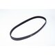 POLY V BELT 5PK