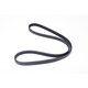 ALTERNATOR BELT VECTOR 1350
