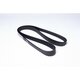 FLEXONIC BELT 6 PK