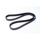 BELT POLY V 6PK